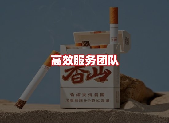 专业团队